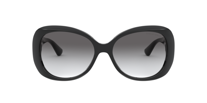 Giorgio Armani AR8132 500111  